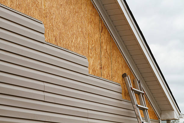 Professional Siding Inspection technician working in Itasca, IL